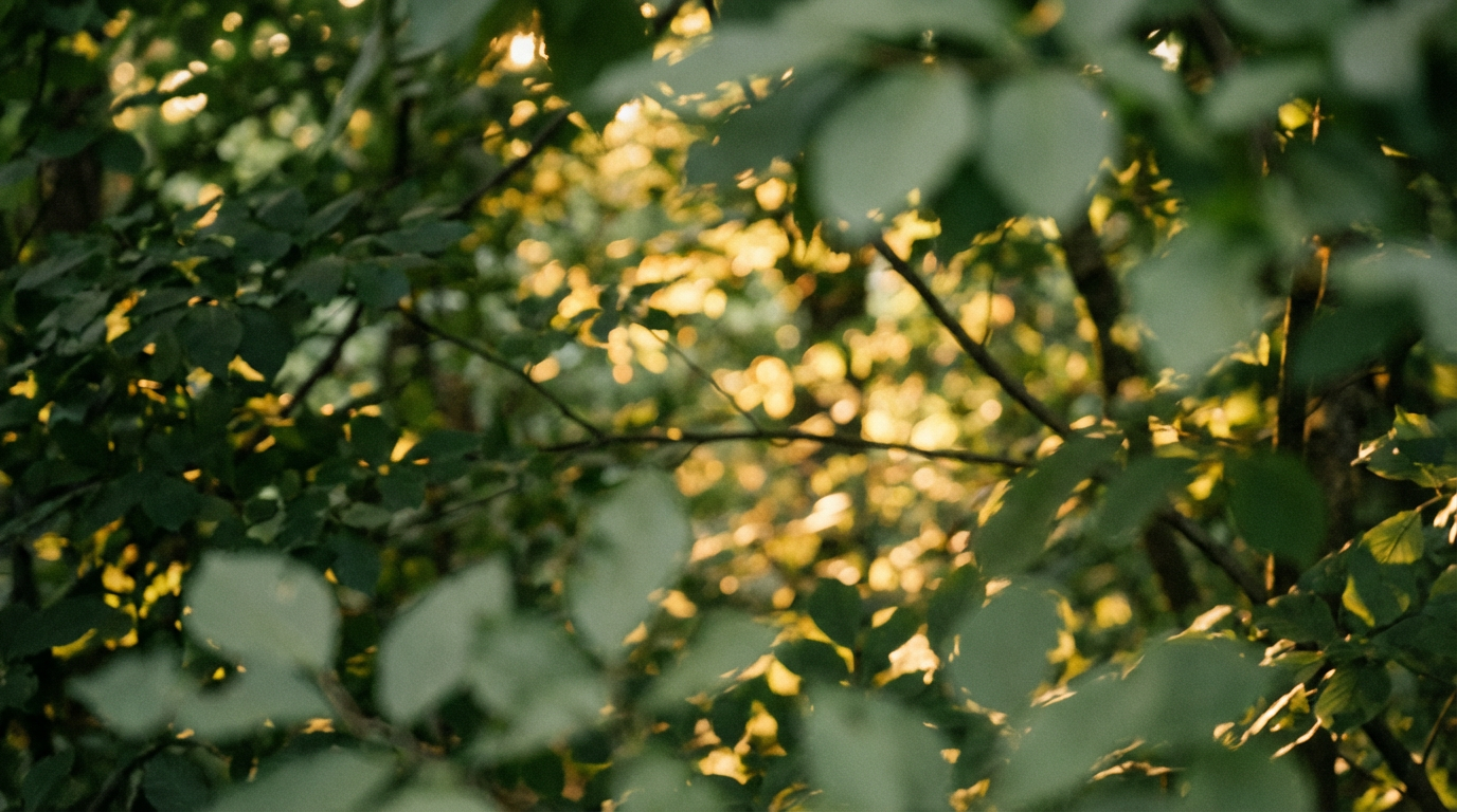 Active movement background